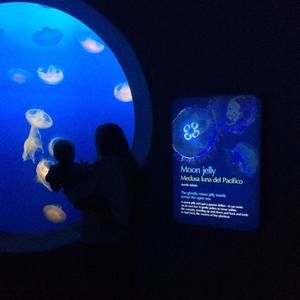 Meet your Posher, Brianne